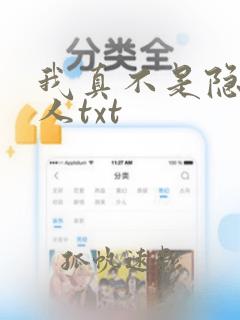 我真不是隐世高人txt