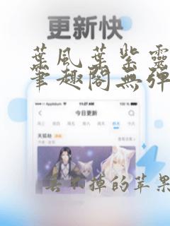 叶风叶紫灵小说笔趣阁无弹窗