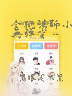 全职法师小说 无弹窗