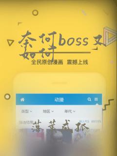 奈何boss又如何