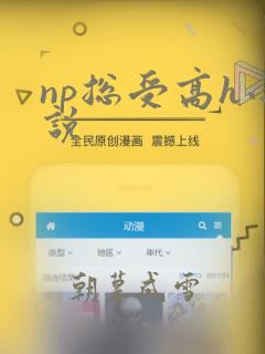 np总受高h小说