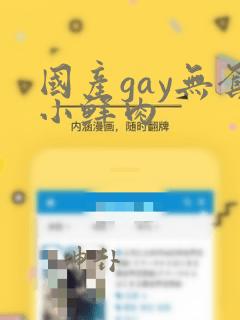 国产gay无套小鲜肉