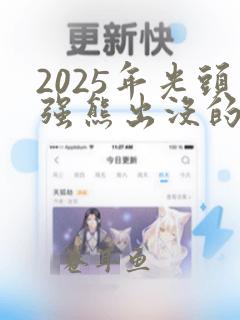 2025年光头强熊出没的大b