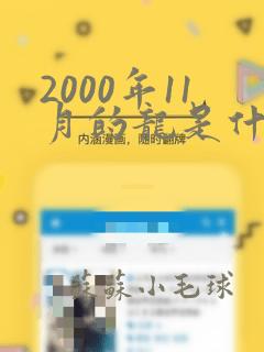 2000年11月的龙是什么命