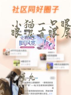 小猫一只眼睛流眼泪有眼屎怎么回事