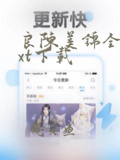 良陈美锦全文txt下载