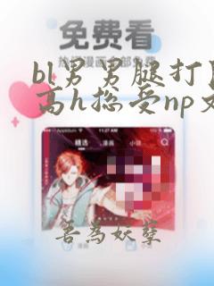 bl男男腿打开高h总受np文