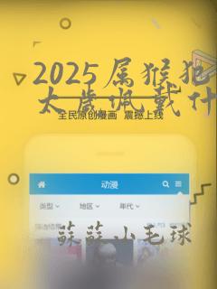 2025属猴犯太岁佩戴什么化解