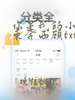 你是我的小确幸东奔西顾txt