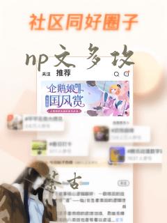 np文多攻