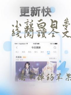 小说白日梦我在线阅读全文