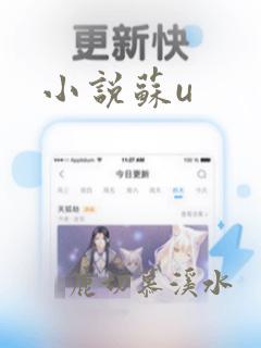 小说苏u