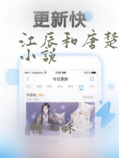 江辰和唐楚楚的小说