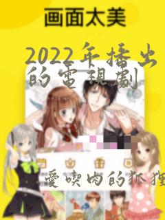 2022年播出的电视剧