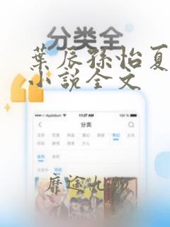 叶辰孙怡夏若雪小说全文