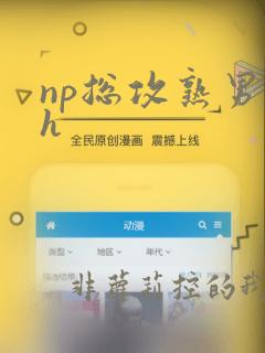 np总攻熟男受h