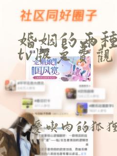 婚姻的两种猜想tv版免费观看