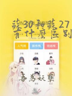 苏30和苏27有什么区别