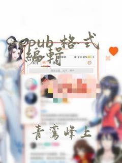 epub 格式 编辑