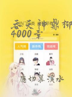 吞天神鼎柳无邪4000章