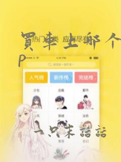 买车上哪个app