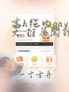 高h纯肉gay文 推荐阅读