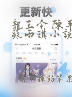 龙王令 陈平,苏雨琪小说免费