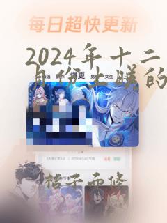 2024年十二月份上映的电影