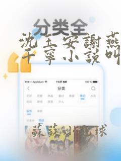 沈玉安谢燕宁唐千宁小说叫什么名字