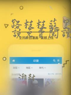 路枝枝苏昱鸣小说免费阅读txt