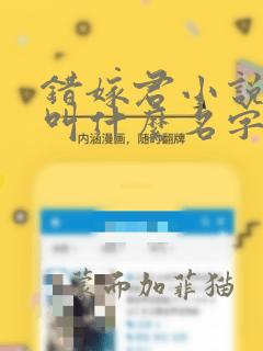 错嫁君小说原著叫什么名字