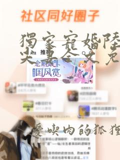 独家宠婚陆少心尖妻全文免费阅读