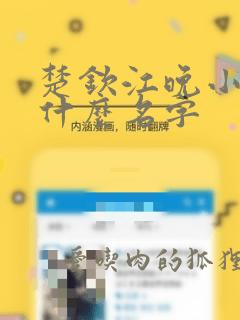 楚钦江晚小说叫什么名字