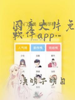 国产大片免费看软件app