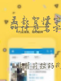 孟歆贺怀宇小说叫什么名字