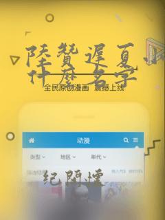 陆赞迟夏小说叫什么名字