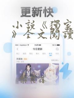 小说《独家小说》全文阅读