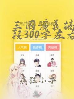 三国演义摘抄片段300字左右