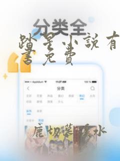 踏星小说有声听书免费