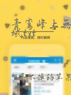 青鸾峰上无敌剑域txt