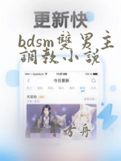 bdsm双男主调教小说