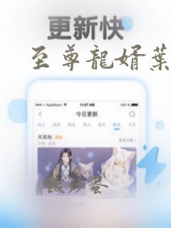 至尊龙婿叶辰萧