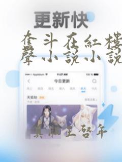 奋斗在红楼 有声小说小说