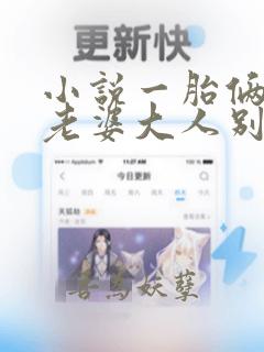 小说一胎俩宝,老婆大人别想逃