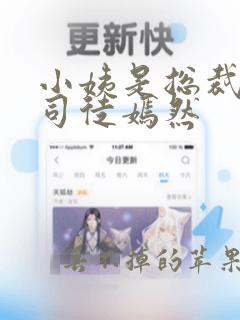 小姨是总裁叶凡司徒嫣然