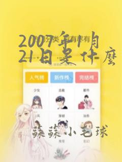 2007年1月21日是什么命