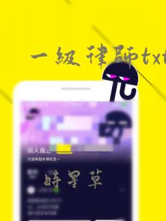 一级律师txt