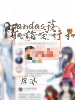 pandas获取指定行和列的值