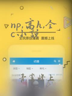 np,高h,全c小说