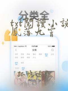 txt阅读小说凤落九霄